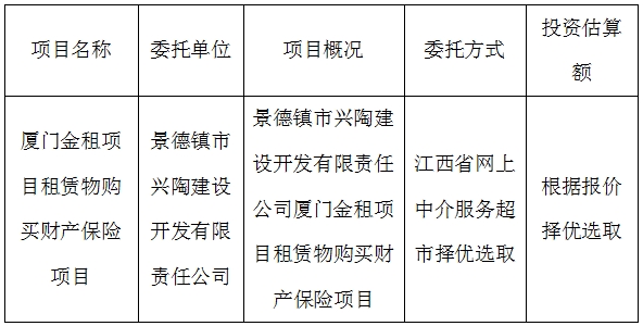 廈門金租項(xiàng)目租賃物保險(xiǎn)項(xiàng)目計(jì)劃公告